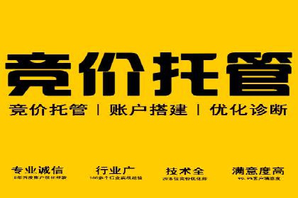 行业领先企业的sem竞价托管代运营策略